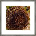 Sunflower Extreme Makeover Abstract Painting Framed Print