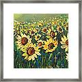 Sunflower Field Framed Print