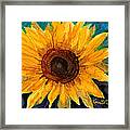 Sunflower Ii Framed Print
