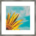 Sunflower In The Corner Framed Print