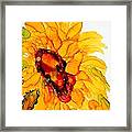 Sunflower Right Face Framed Print