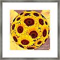 Sunflower Sun Framed Print