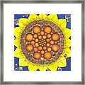 Sunflower Tangle Framed Print