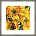 Sunflower Trio Painterly Framed Print