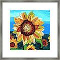 Sunflowers And Blue Sky Framed Print