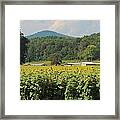 Sunflowers And Mountain View 2 Framed Print