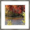 Sunlit Autumn Framed Print