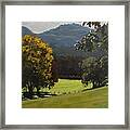 Sunny Fall Day Framed Print