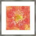 Sunny Flower Universe Framed Print