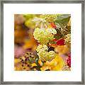 Sunny Mood. Amsterdam Flower Market Framed Print