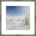 Sunny Snowstorm Framed Print