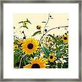 Sunny Sunflowers Framed Print
