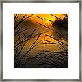 Sunrise At The Sepulveda Dam Wildlife Reserve Framed Print