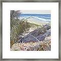 Sunrise Beach Dunes Sunshine Coast Qld Australia Framed Print