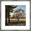 Sunrise In The Park Framed Print