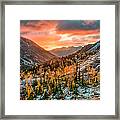 Sunrise On The Larches Framed Print