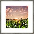 Sunrise Over Field Of Crops In France Framed Print