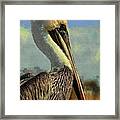 Sunrise Pelican Framed Print