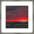 Sunrise Pink Framed Print