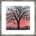 November Sunrise Walnut Tree Watercolor Framed Print