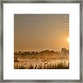 Sunrise With The Geese Framed Print