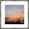 Sunset At Ankeny Wildlife Refuge Framed Print