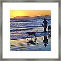 Sunset Beach Stroll - Man And Dogs Framed Print