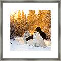 Sunset Companions Framed Print