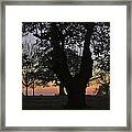 Sunset In Richmond Park Framed Print