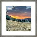 Sunset Landscape Of Tuscan Green Hills Framed Print