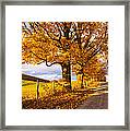 Sunset On Country Road Framed Print