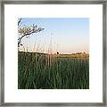 Sunset Over The Marshlands Framed Print