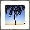 Sunset Palm Framed Print