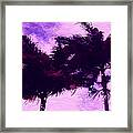 Sunset Purple Palm Tree Framed Print