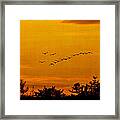 Sunset Silhouettes Framed Print