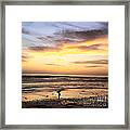 Sunset Surfer Framed Print