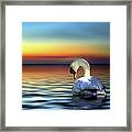 Sunset Swan Framed Print