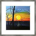Sunset Through The Branches Framed Print