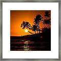 Sunset Through The Palm Trees Framed Print