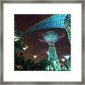 Supertrees In  Gardens By The Bay Framed Print