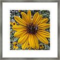 Suppers' Ready Framed Print