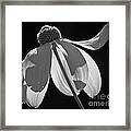 Support Framed Print