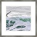 Surf N Pelican Framed Print