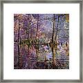 Surrealistic Morning Reflections Framed Print