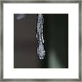 Suspense Framed Print