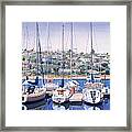 Sw Yacht Club In San Diego Framed Print