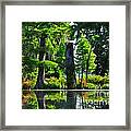 Swamp In Bloom Framed Print