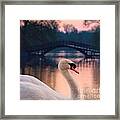 Swan Bridge Framed Print