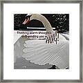 Swan Hugs Framed Print