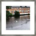 Swan In Dublin Framed Print